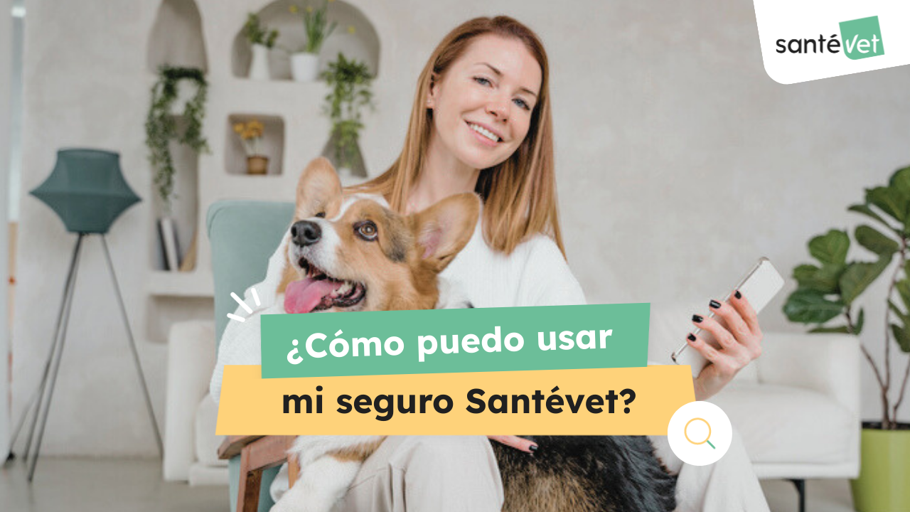 ASCELCRE firma un acuerdo de colaboraci&oacute;n con seguros SANTEVET