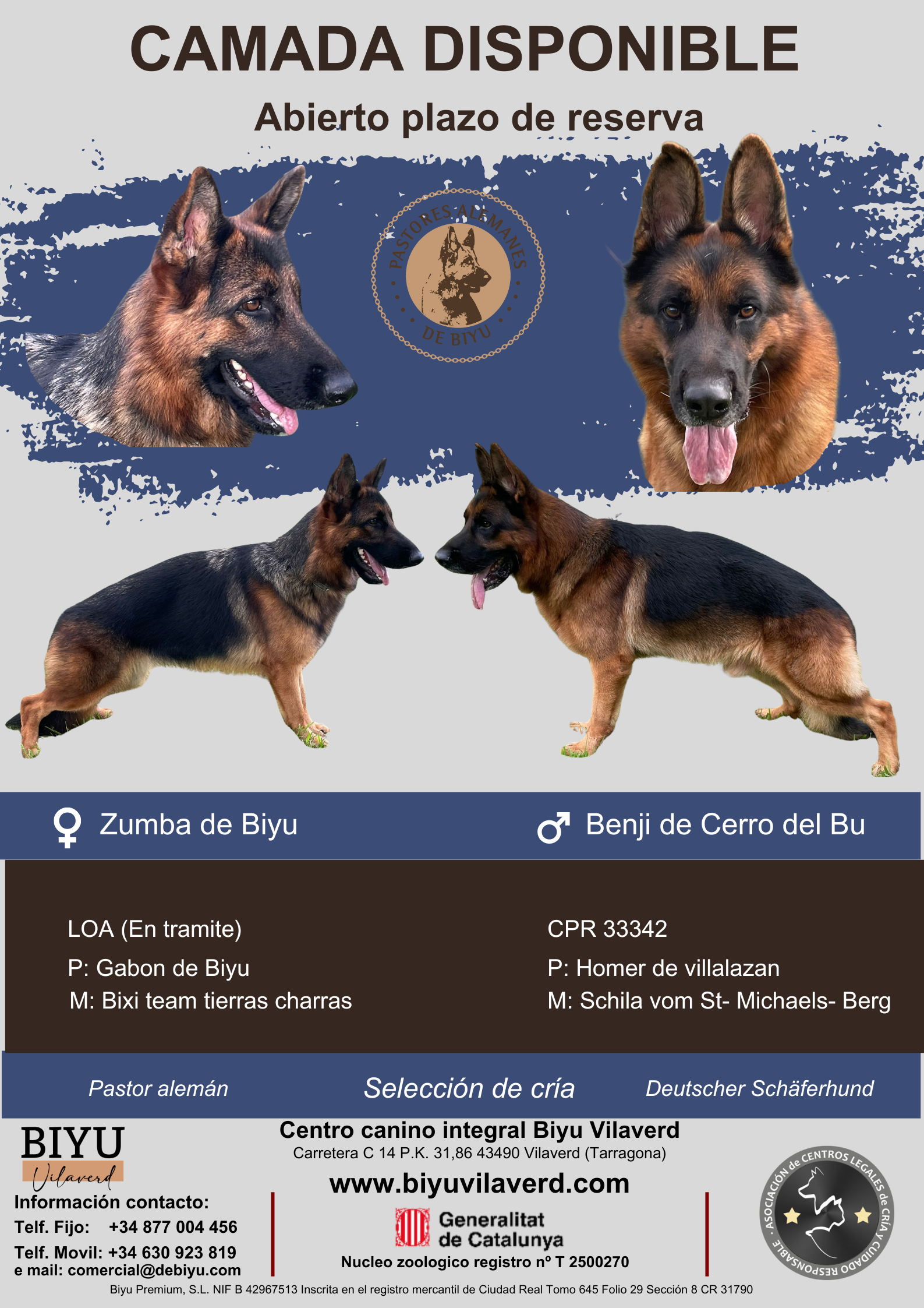 Centro Canino Biyu Vilaverd